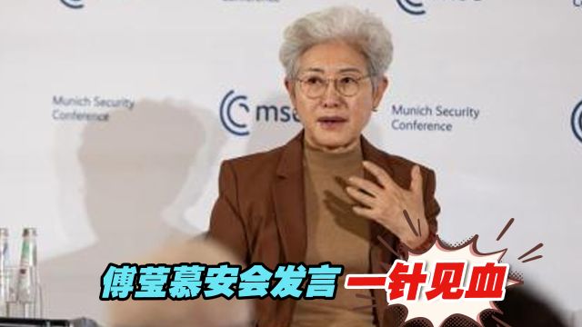 傅莹在慕安会发言,一针见血,对西方政客产生强烈冲击