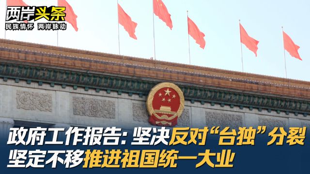 政府工作报告:坚决反对“台独”分裂 坚定不移推进祖国统一大业