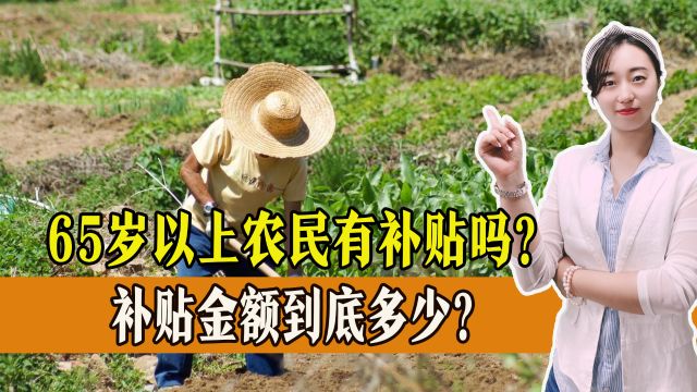 65岁以上农民有补贴吗?补贴金额到底多少?一起了解!