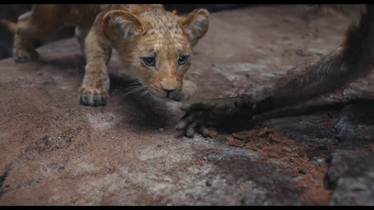 真人版《狮子王2》《白雪公主》《星战:骷髅组》预告合集