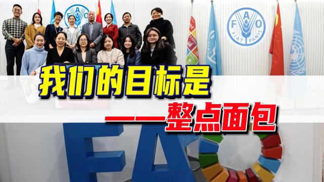 探店联合国:粮农组织,究竟都在干些啥?【联合国巡礼之FAO】