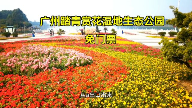 广州踏青赏花的免费湿地生态公园,有山有水有花,感受万物复苏