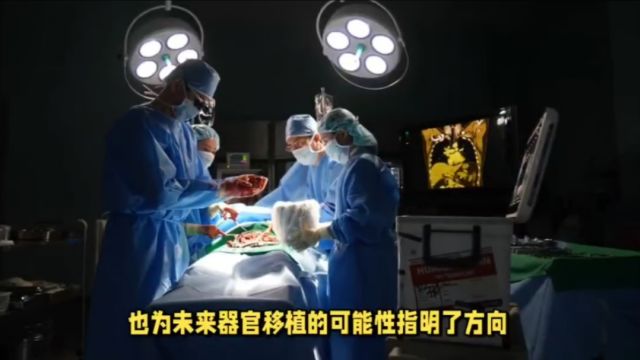 现代医学的新突破,全球首例猪肾与人工心脏联合移植