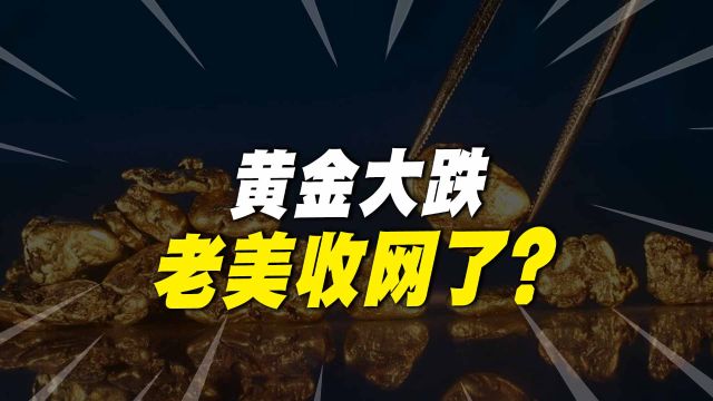 老美开始收网了?黄金价格迎来大跌,为何说更大的危机还在后面?