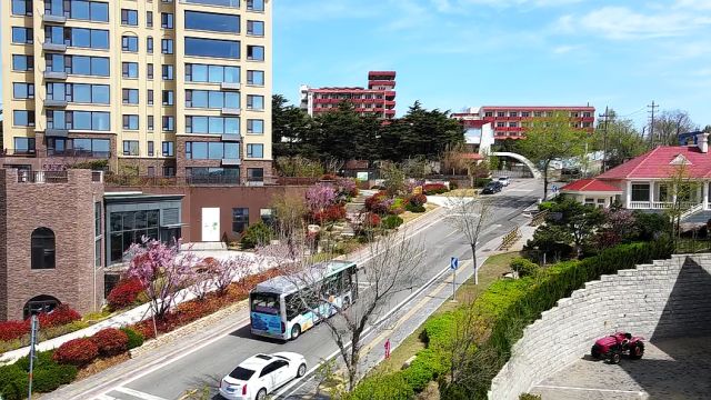 威海市:打卡环海路 一路皆风景