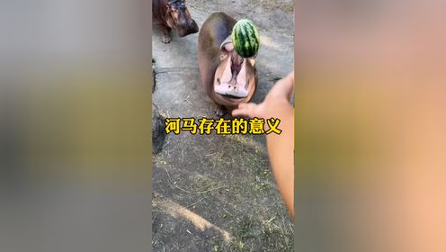 腾讯视频
