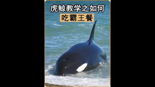 该溜子是怎样炼成的_高清1080P在线观看平台_腾讯视频