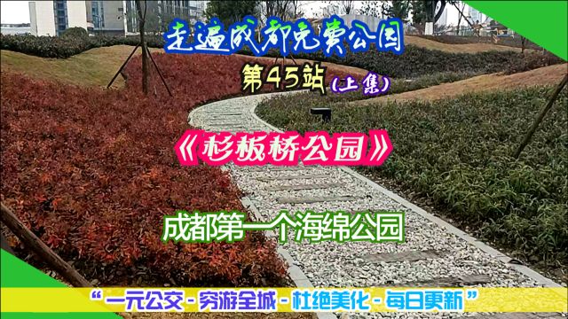 走遍成都免费公园第45站:杉板桥公园读作shan还是sha,疑惑中