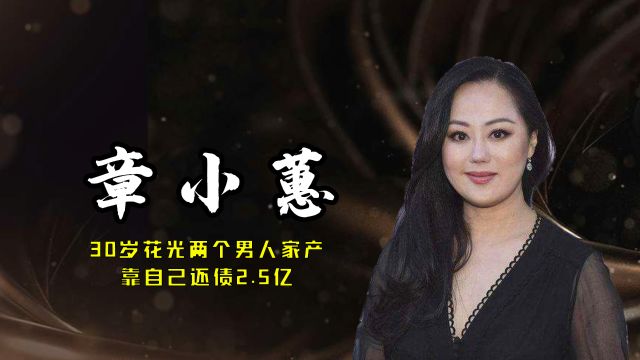 章小蕙:30岁花光两个男人家产,靠自己还债2.5亿,58岁依旧美艳