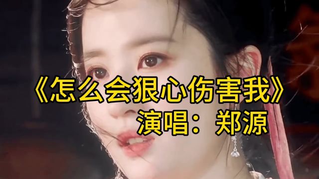 《怎么会狠心伤害我》经典歌曲郑源版本,伤感音乐真的能触动人心,只是仿佛唱的是自己