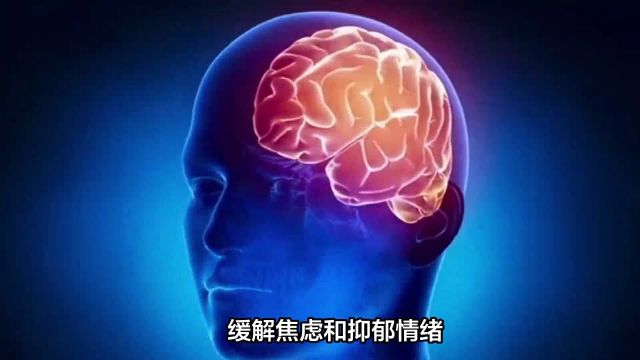 欧米伽3:滋养大脑,守护神经,让生活更美好