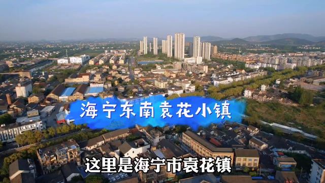 实拍嘉兴地区海宁市袁花镇,袁花镇的经济在海宁各镇排名第四位!