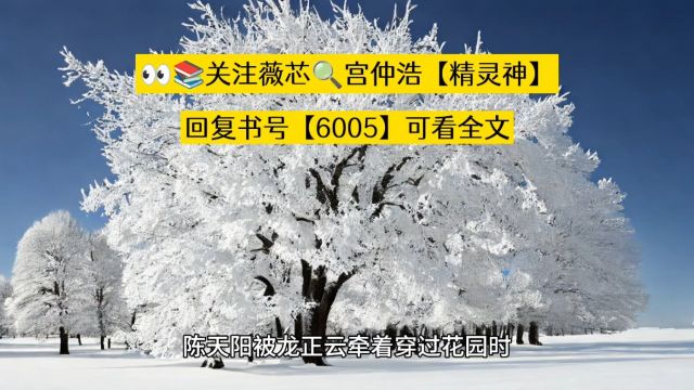 退婚不成,反被岳父捧成顶级纨绔《陈天阳》小说阅读○完整章节