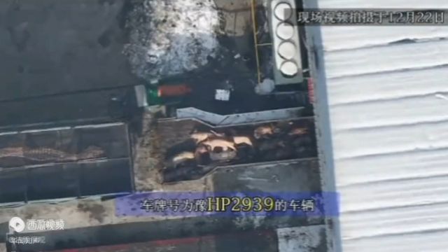 山东德州市德城区一屠宰企业流入大量死猪 监管部门回复:已无害化处理