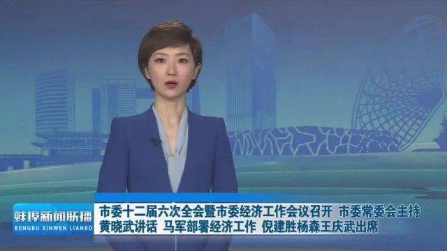 蚌埠新闻联播 2024年1月6日