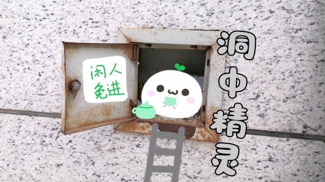 【生活化手绘】发现了一个神秘的小洞,看看里面是什么?