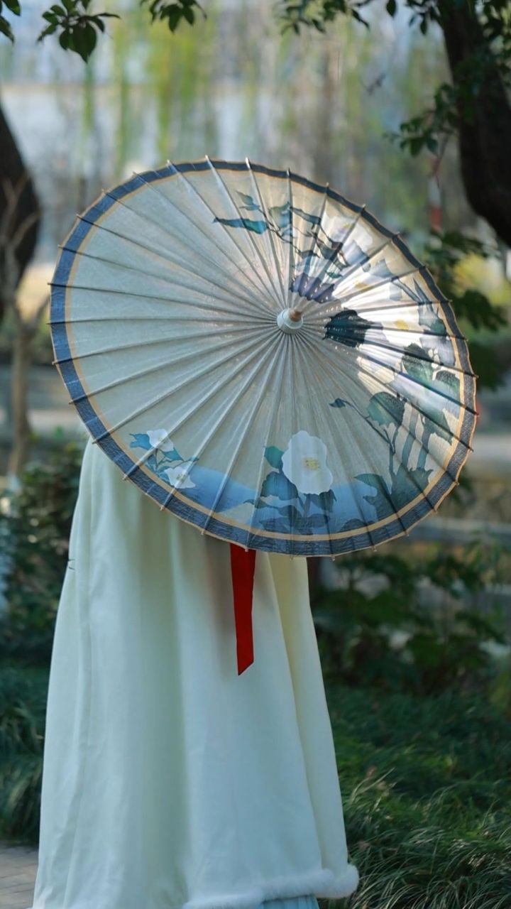 中式油纸伞才是yyds #油纸伞#古风古韵#中式#手工定制#传统文化