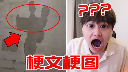 【梗文梗图】兄弟们！这是什么图！？_高清1080P在线观看平台_腾讯视频