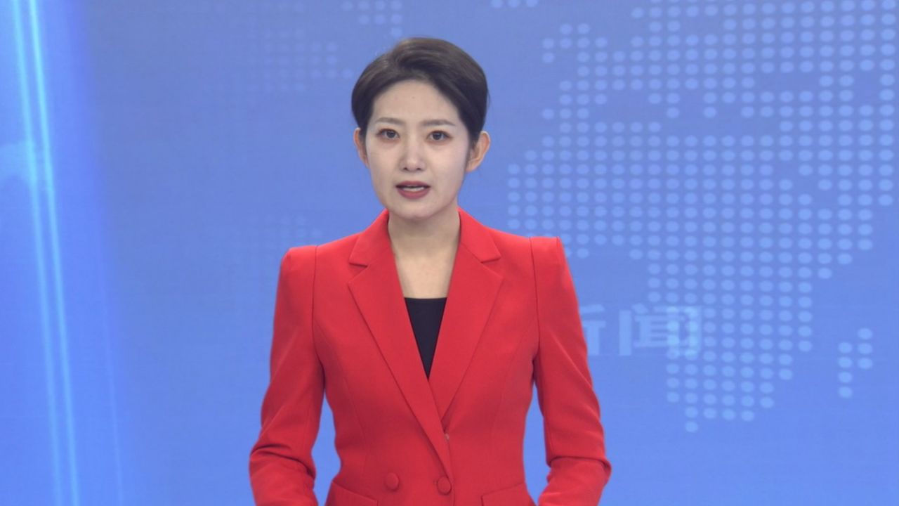 王海宁参加政协分组讨论