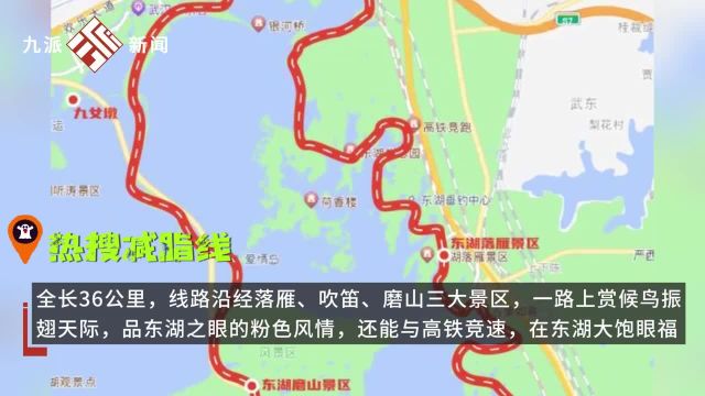 健身赏景两不误,这份武汉东湖绿道骑行路线图请收好