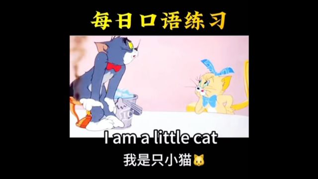 每日英语口语练习 I'm a little cat. 我是一只小猫