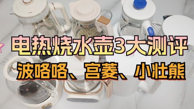 实力派电热烧水壶爆肝测评:波洛洛、宫菱、小壮熊强势PK对比