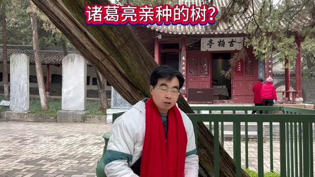 诸葛亮亲手种的树 竟然保留到现在?你敢相信吗?