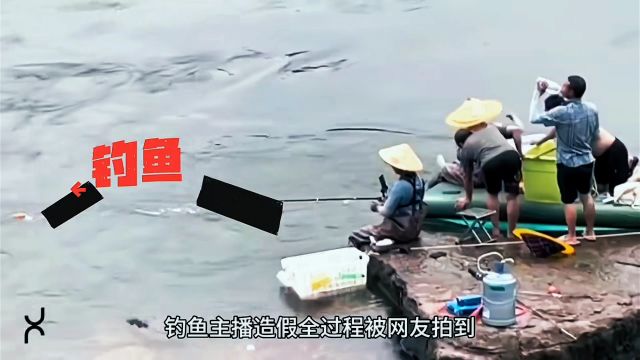 钓鱼直播挂鱼曝光