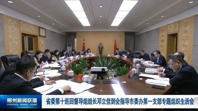 省委第十巡回督导组组长邓立佳到会指导市委办第一支部专题组织生活会