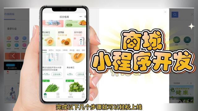 小程序商城制作公司,教你商城搭建的快速方式