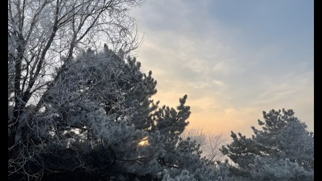 北京今天阵风五级左右,最高气温3℃,外出注意防风防火