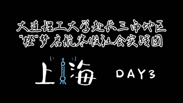 大连理工大学软件学院、国际信息与软件学院“橙”梦“企”航寒假社会实践团赴长三角地区企业行上海站Day3纪实