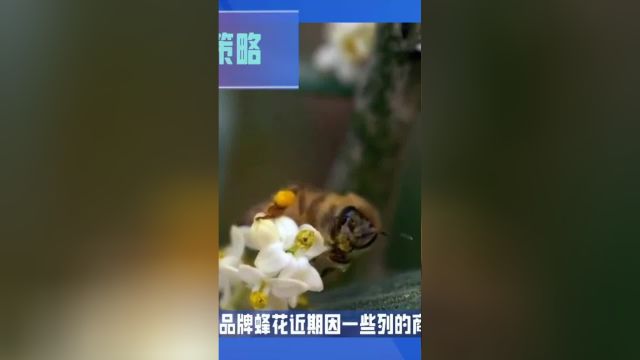 蜂花回应商战策略