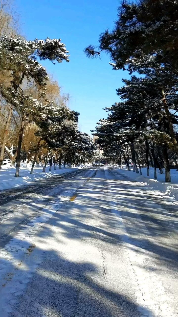 二月雪·美树挂