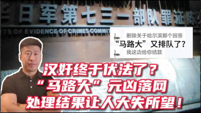 汉奸终于伏法了?“马路大”元凶落网,处理结果却让人大失所望!