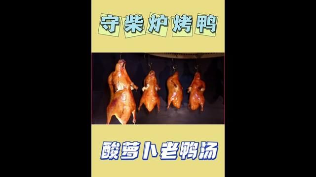 菏泽又多了一个吃烤鸭的地方#烤鸭 #守柴炉烤鸭 #现烤现卖 #毛毛吃不胖