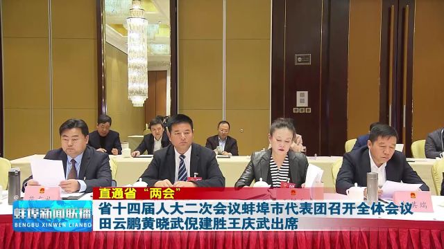 直通省“两会” 省十四届人大二次会议蚌埠市代表团召开全体会议 田云鹏黄晓武倪建胜王庆武出席