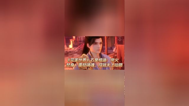 《完美世界》石昊悟道:帝火焚身,雷劫铸魂,成就无上仙路