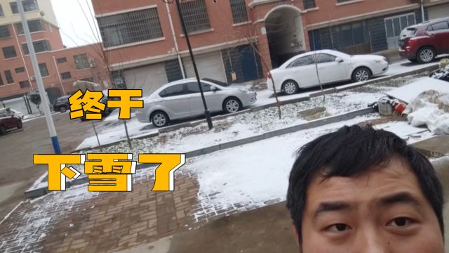 大扫除第二天下雪了,小伙赶紧放下手中的活出去感受一下