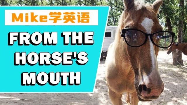 【今日短语057】短语The Horse's Mouth'是什么意思?