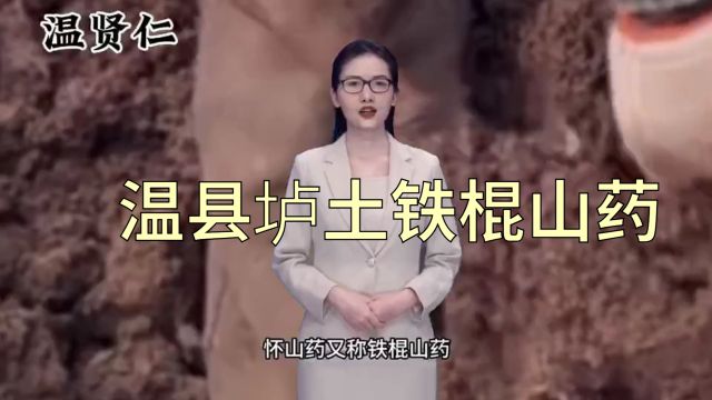 温县铁棍山药的功效与作用,山药现代应用方法有什么?药食同源,营养丰富