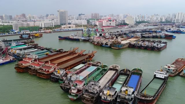 海口:受大雾影响,新海港、秀英港和铁路南港停运