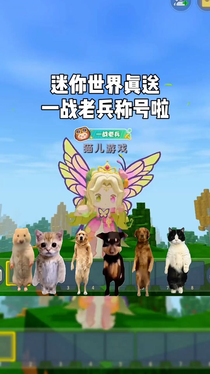 迷你世界:看看你的的称号