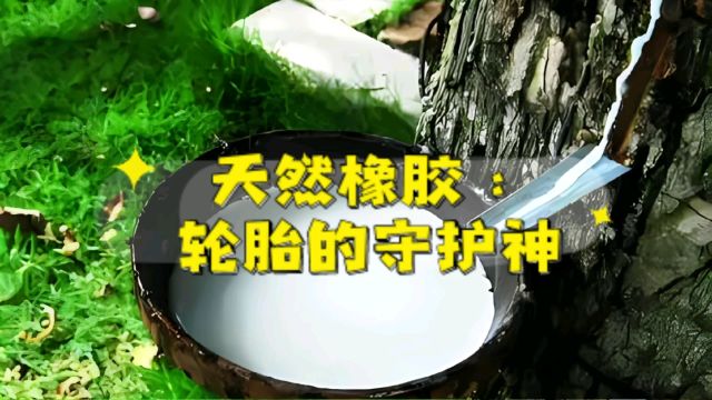 橡胶魔法师:天然橡胶在轮胎制造中的神奇作用