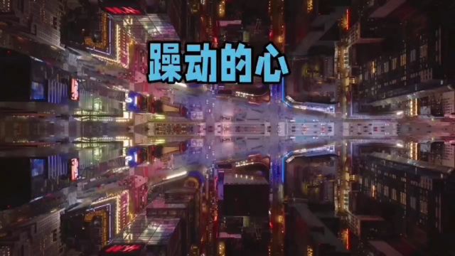 躁动的心 DJ版