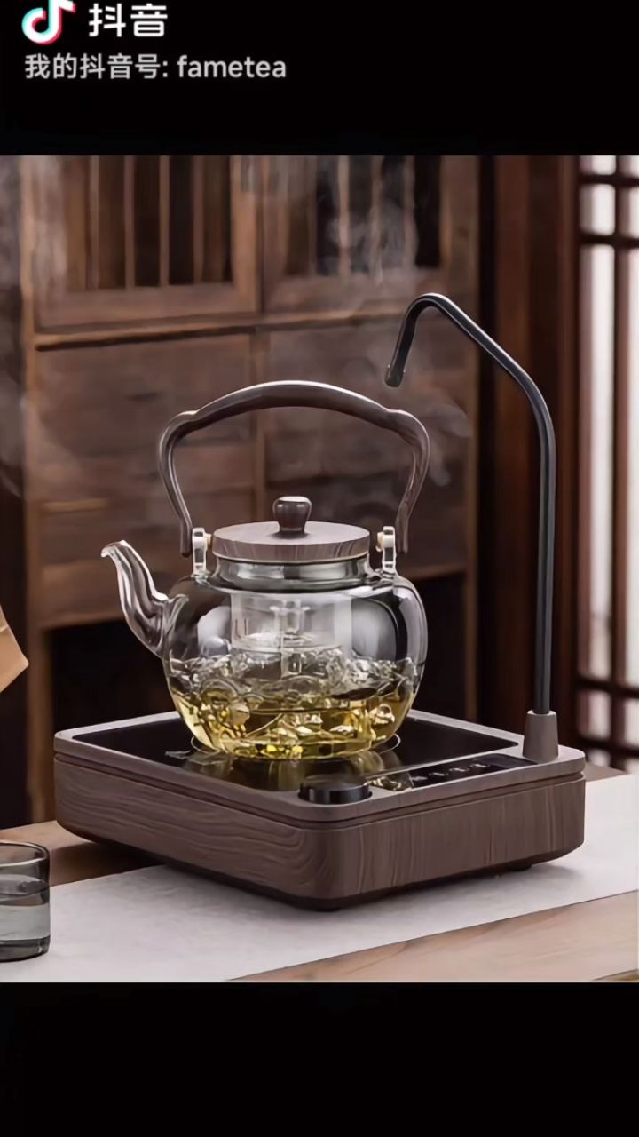 茶生活 #茶具 #高档大气上档次 #茶具好物推荐 自动上水电陶炉煮茶壶