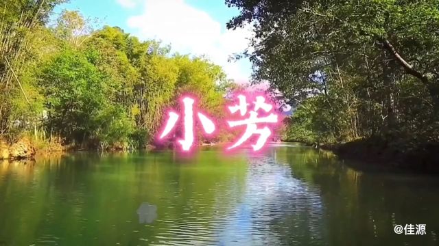 小芳  金曲推荐