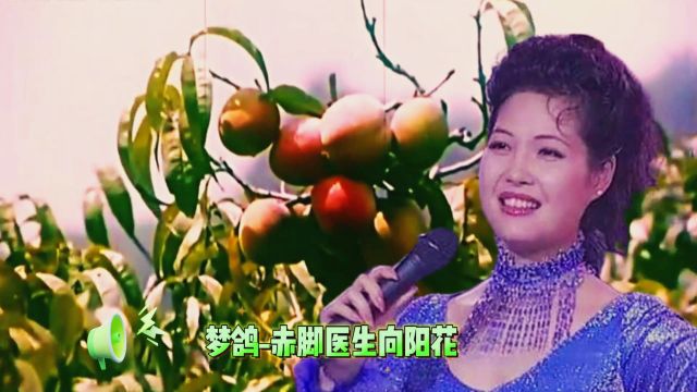 梦鸽老师演唱版《赤脚医生向阳花》,婉转悠扬不绝于耳