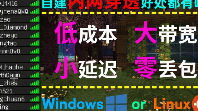 手把手搭建FRP与小伙伴联机我的世界!追求高质量联机体验的玩家首选