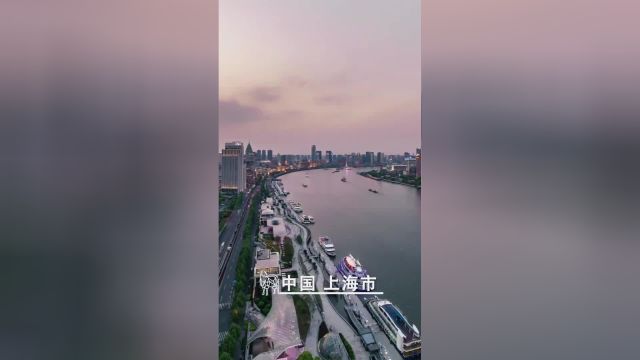 中国和新西兰共同合作!如何打造绵羊奶新产业?